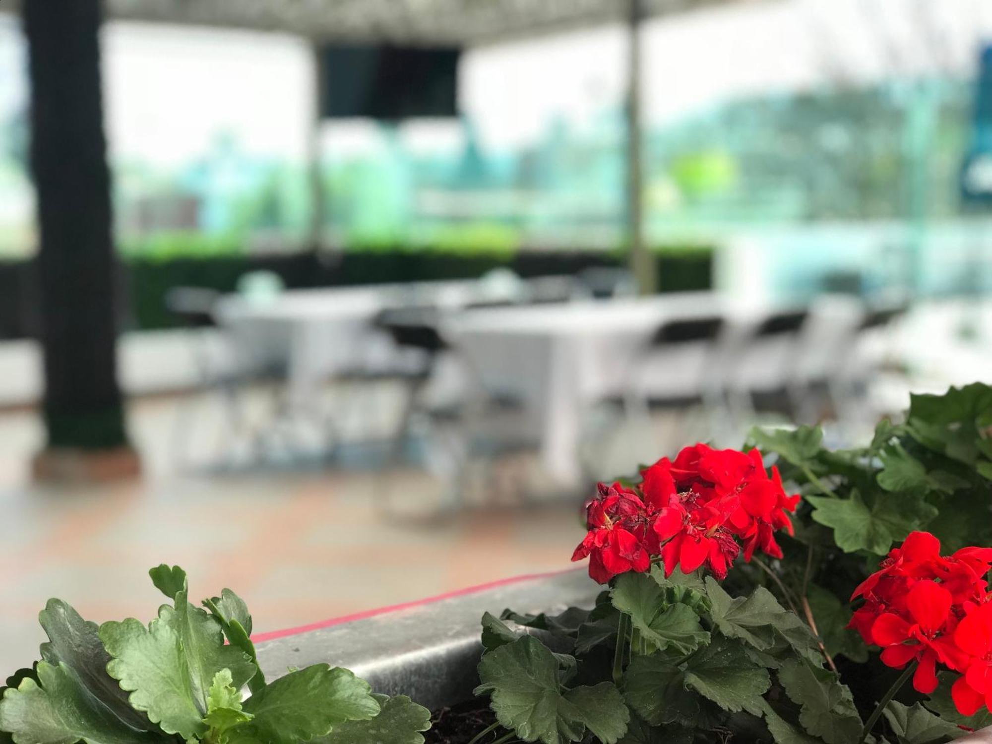 Hotel Malinalli Huamantla Ngoại thất bức ảnh